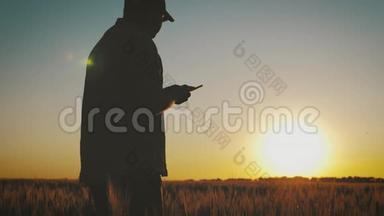 农学家成熟的人在农业农场使用智能手机。 把手里拿着手机的农民关在田里