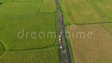 空中拍摄<strong>的</strong>一群农民沿着一条大稻田中间<strong>的小路</strong>移动。 水稻作物概念