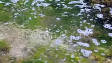 透明的海浪拍打着绿色模糊的海藻