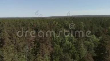 鸟瞰美丽`绿林航拍.. 空中观景4K.. 照相机飞过森林
