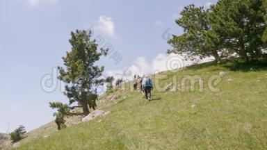 旅游团在夏<strong>季</strong>旅行时徒步到山上。 <strong>暑假</strong>期间，远足的人在青山里爬山。 回去