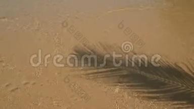 4K. 椰子棕榈树叶影伸展在沙滩上，溅波晶莹清澈的水。 <strong>夏季</strong>背景