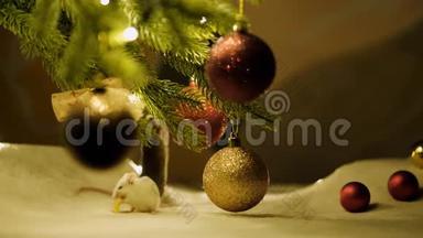 坐在圣诞树下吃奶酪的白鼠。