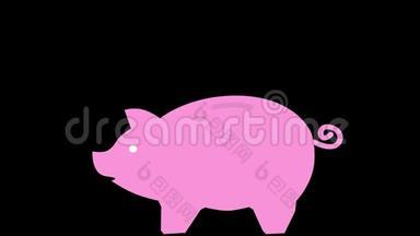 猪银行平面图标动画与阿尔法频道。 4k