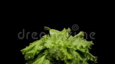 新鲜绿色沙拉隔离在黑色背景，健康食品和蔬菜的概念。 库存录像。 靠近绿色