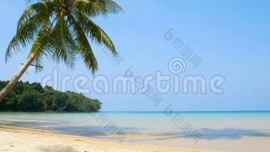 热带海洋景观K4，风中吹着椰子棕榈树叶，白沙滩和清澈的海水