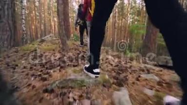 低角度拍摄的旅行者`双腿穿着运动鞋在树林中行走，探索新的领地，<strong>踩</strong>着覆盖着草地和草地