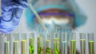 生物化学家在带植物的试管中注入含油液体，防腐剂研究
