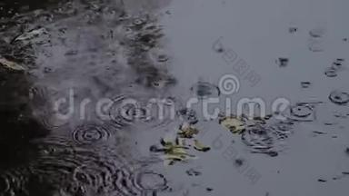 雨滴在水坑里荡漾。 水中的叶子