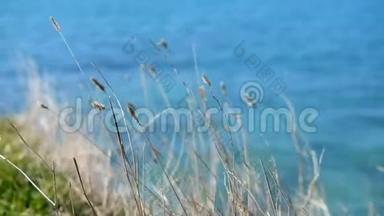 大海边的干草在波浪的背景上。