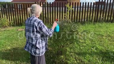 女园丁用杀虫剂内喷雾瓶喷洒果树和灌木以防治植物病虫害