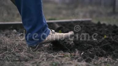 一个穿着蓝色牛仔裤`男人的腿在地上挖铲子。
