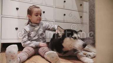 小女孩和她的黑白相间的西伯利亚哈士奇狗蓝眼睛。 女孩<strong>抚摸</strong>狗的头。 4K射击