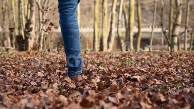 秋天在田园诗般的公园里散步时，<strong>嬉戏</strong>的人踢起一堆五颜六色的叶子。 走在路上的人