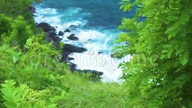 生长在蓝色海浪中的植物，背景是岩石悬崖。 汹涌的海浪以泡沫溅到石堆上