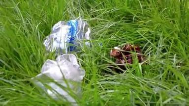 塑料瓶，<strong>垃圾</strong>躺在草地上，猫嗅着它们，离开
