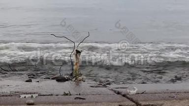 大浪在贝加尔湖的一场暴风雨中，在污染塑料的混凝土石墩上破浪前进，在大海中破浪前进