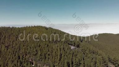 空中射击。 一个梦幻的景观，有大量的绿色松树和杉树，雾中的多雨森林和低矮的堆
