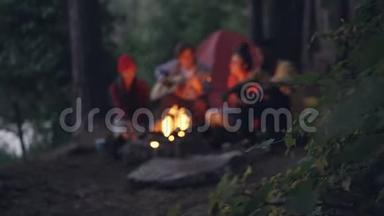 游客朋友们围坐在森林里的篝火旁，弹着吉他，唱着温暖的歌