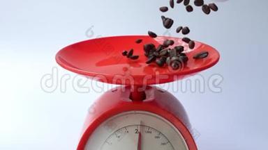 咖啡豆落入红秤称量盘中