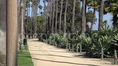 <strong>圣莫尼卡</strong>海滩附近的公园里的人行道。 阳光明媚的一天，与加州高大棕榈树的小巷。 美国