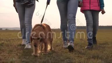 妈妈宝宝，女儿和宠物狗，游客.. 一家人和狗一起穿越田野。 特写镜头。 的联合工作