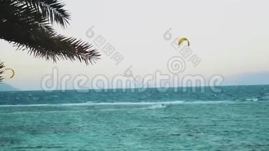 在埃及达哈布美丽的清水中风筝冲浪。 以山为背景，探索碧水