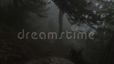 一个穿着雨衣的<strong>游客</strong>穿过一片阴沉的雾蒙蒙的<strong>森林</strong>，从山坡上下来。