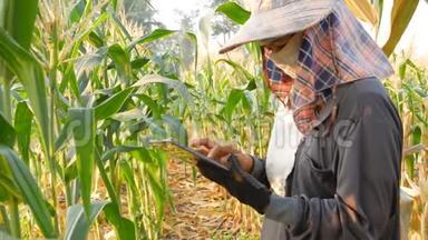 农民利用技术帮助监测作物数据