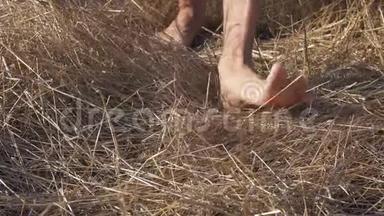裸脚踩干草会使腿和皮肤在坚硬干燥的草地上行走时感到不适。 腿部皮肤真菌