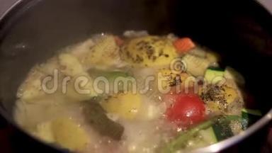 蔬菜煮汤在炉子上的锅中煮，上面有草药的自制汤。