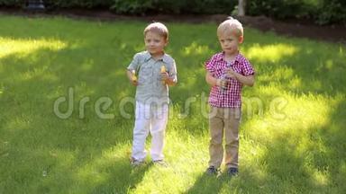 两个开朗的小哥哥在绿草地上的公园里玩肥皂泡..