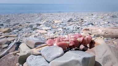 沙士利克正在用石头手工篝火上的串烧，在海石海滩的背景上涂上热炭。