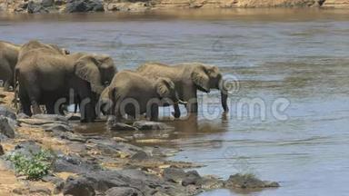 肯尼亚马拉河上一头大象喝的<strong>广角镜头</strong>