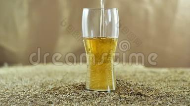 一家私人手工酿酒厂生产的淡啤酒在麦芽的背景下缓慢地倒入玻璃杯中