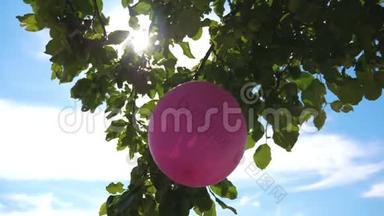 德罗沃苹果树装饰一个气球，太阳耀斑。 <strong>儿童</strong>假期用气球`节<strong>日</strong>装饰