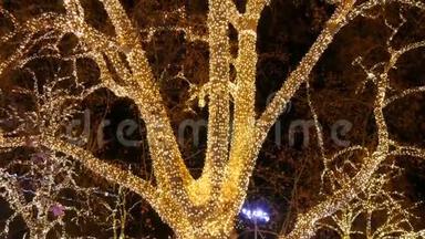 在奥地利维也纳的圣诞市场上，巨大的<strong>古树</strong>上装饰着花环。 树木花环模糊的景色