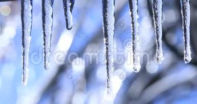 冬天的风景有水晶冰柱和<strong>落下</strong>的闪亮的<strong>水滴</strong>。 视频与冰柱上美丽明亮的背景。 星形胶质细胞