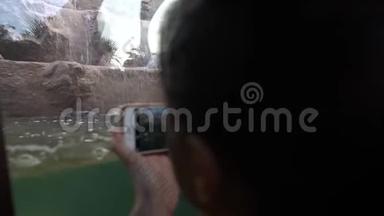 4K亚洲女人用电话拍照俾格米河马在动物园游泳