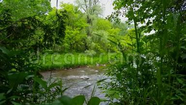 夏季森林树木环绕的美丽流动河流的<strong>高角度视图</strong>。从特雷琳河岸看
