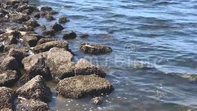 软洋波在平静的海洋中的具体摩擦。 破碎石砖用作破波机