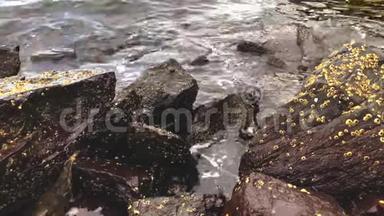 海浪冲击和撞击岩石海滩。 在落基海岸掀起巨浪。 石头巨石上的水溅