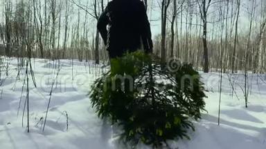 一个男人在雪地里拖着一棵倒下的圣诞树回家，迎接新年和圣诞节。 圣诞树