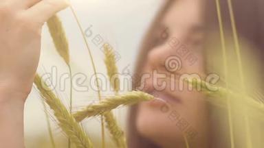 女人的手抚摸小麦作物，神圣的阳光，美丽的黑发抚摸
