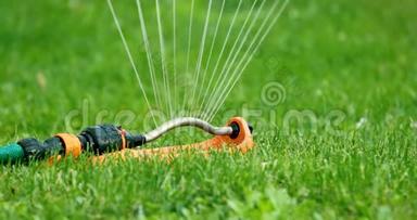 草坪浇水-在家后院的绿草中洒水
