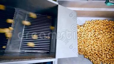 马铃薯块茎落入容器的俯视图