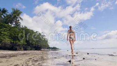 年轻女子穿着比基尼，在潮湿的沙滩上漫步，在的<strong>海滩</strong>上，棕榈树的景色。 穿着<strong>泳装</strong>的美女