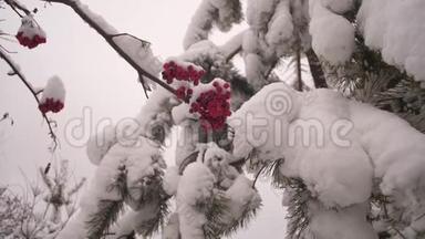冬天的振动树，<strong>红色</strong>浆果覆盖着雪。 <strong>冬季</strong>圣诞公园。 无叶树枝上的雪