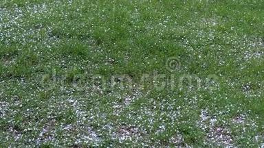 在夏日的绿草上，在阴天落下冰雹。 `有暴风雨来了。