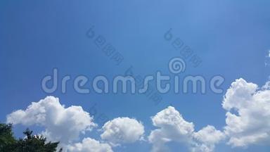 美丽的云树背景，清晰可见的白云和蓝天